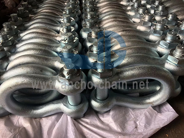 போல்ட் வகை பாதுகாப்பு ஆங்கர் ஷேக்கிள் G2130