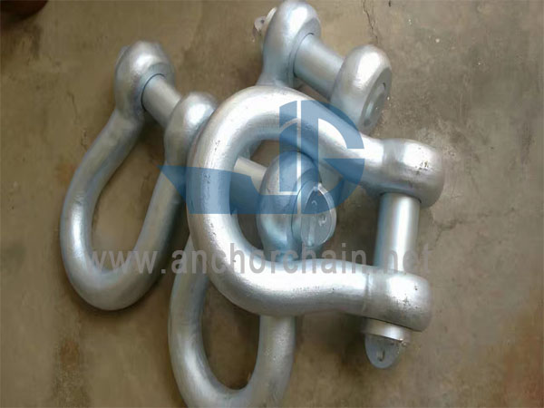 BS3032 வில் ஷேக்கிள்