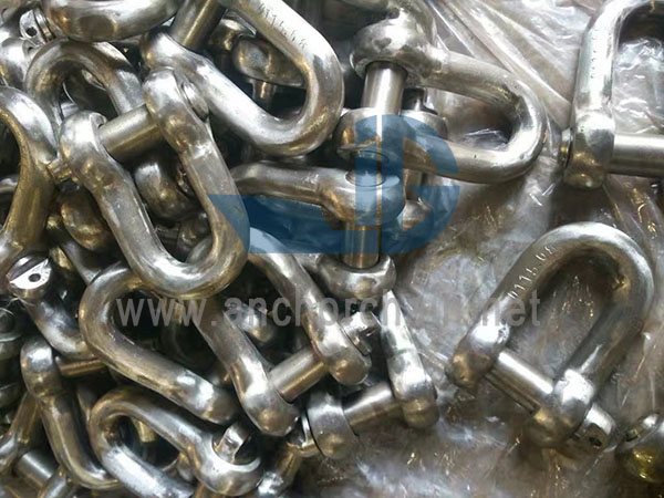 BS3032 டீ ஷேக்கிள்