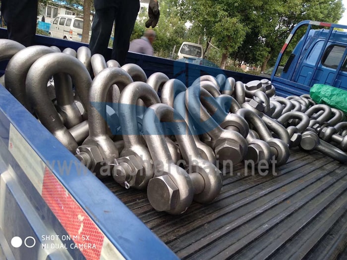 G2150 போல்ட் வகை செயின் ஷேக்கிள்ஸ்