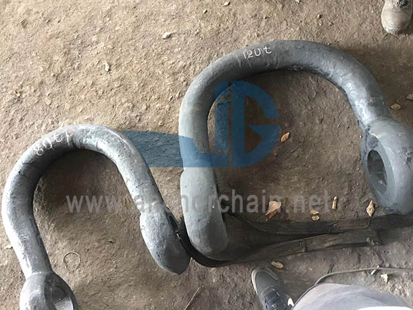 பெரிய திறப்பு ஷேக்கிள்